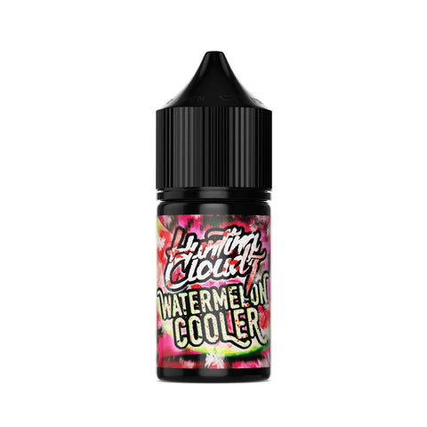 Hunting Cloudz Salts - Watermelon Cooler - Vapoureyes